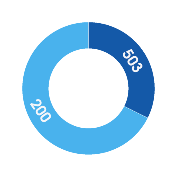 An abstract graphic showing 503 and 200 status codes.