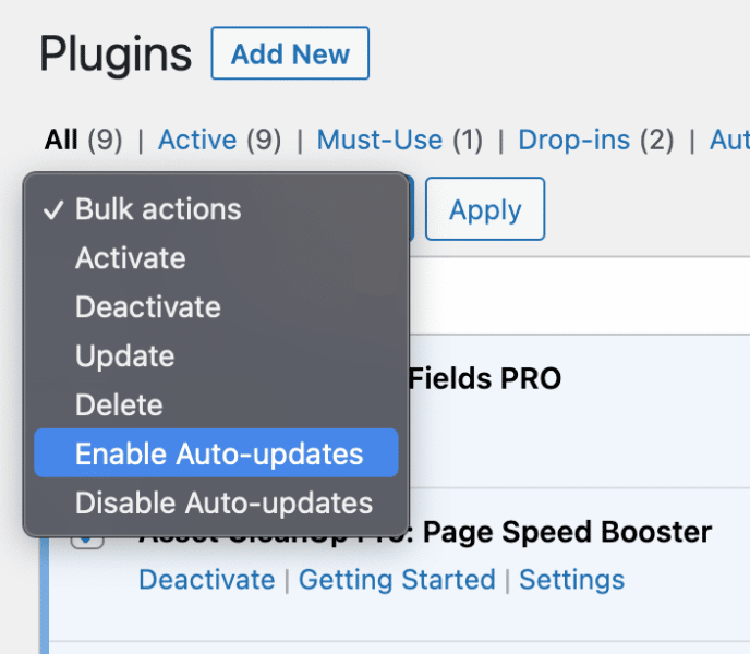 Plugin auto-updates 