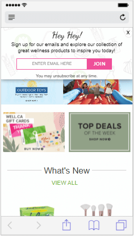 Newsletter pop-up offering valuable content about the brand's products.